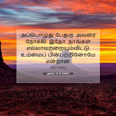 Picture 07 - லூக்கா 18:28 TAMIRV - அப்பொழுது பேதுரு - Bible Verse Picture