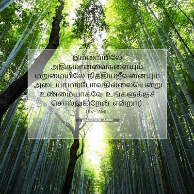 Picture 07 - லூக்கா 18:30 TAMIRV - இம்மையிலே - Bible Verse Picture
