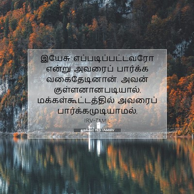 Picture 07 - லூக்கா 19:3 TAMIRV - இயேசு - Bible Verse Picture