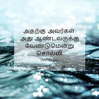 Picture 07 - லூக்கா 19:34 TAMIRV - அதற்கு அவர்கள்: - Bible Verse Picture