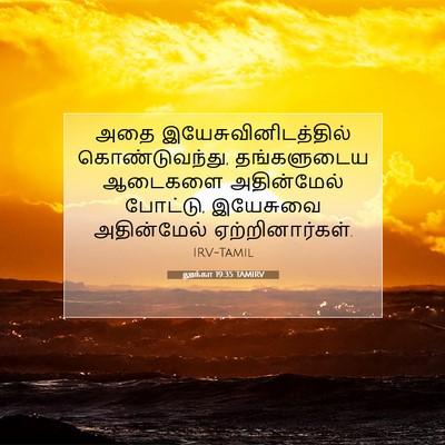 Picture 07 - லூக்கா 19:35 TAMIRV - அதை - Bible Verse Picture