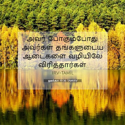 Picture 07 - லூக்கா 19:36 TAMIRV - அவர் போகும்போது, - Bible Verse Picture