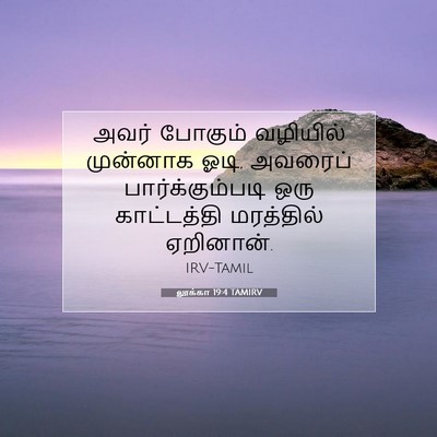 Picture 07 - லூக்கா 19:4 TAMIRV - அவர் போகும் - Bible Verse Picture