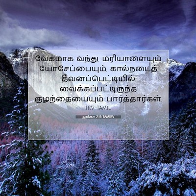 Picture 07 - லூக்கா 2:16 TAMIRV - வேகமாக வந்து, - Bible Verse Picture