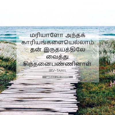 Picture 07 - லூக்கா 2:19 TAMIRV - மரியாளோ அந்தக் - Bible Verse Picture