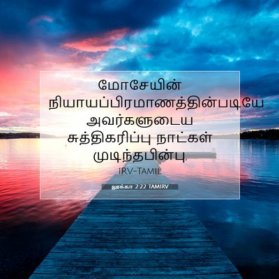 Picture 07 - லூக்கா 2:22 TAMIRV - மோசேயின் - Bible Verse Picture