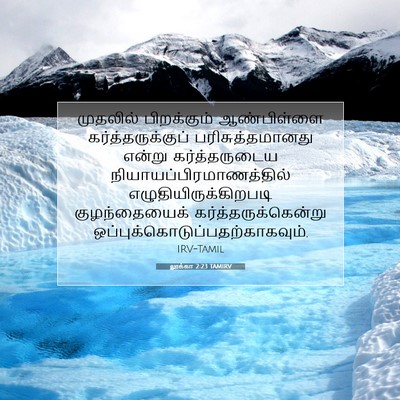 Picture 07 - லூக்கா 2:23 TAMIRV - முதலில் பிறக்கும் - Bible Verse Picture