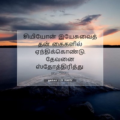 Picture 07 - லூக்கா 2:28 TAMIRV - சிமியோன் - Bible Verse Picture