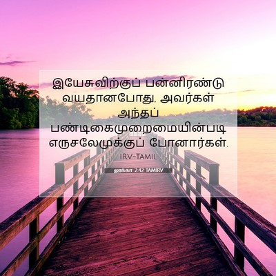 Picture 07 - லூக்கா 2:42 TAMIRV - இயேசுவிற்குப் - Bible Verse Picture