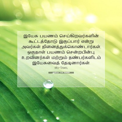 Picture 07 - லூக்கா 2:44 TAMIRV - இயேசு பயணம் - Bible Verse Picture