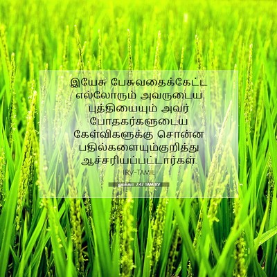Picture 07 - லூக்கா 2:47 TAMIRV - இயேசு - Bible Verse Picture