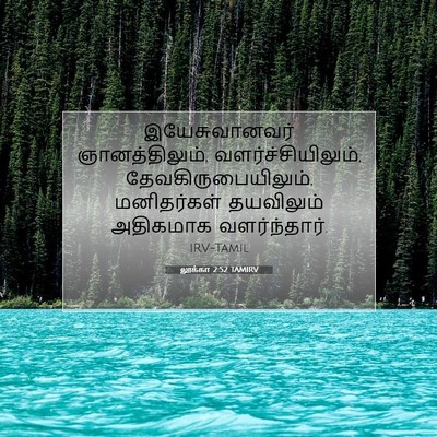 Picture 07 - லூக்கா 2:52 TAMIRV - இயேசுவானவர் - Bible Verse Picture