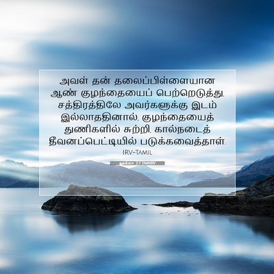 Picture 07 - லூக்கா 2:7 TAMIRV - அவள் தன் - Bible Verse Picture