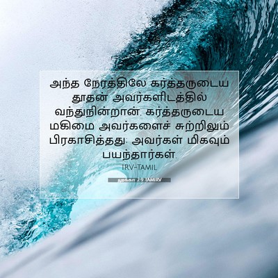 Picture 07 - லூக்கா 2:9 TAMIRV - அந்த நேரத்திலே - Bible Verse Picture
