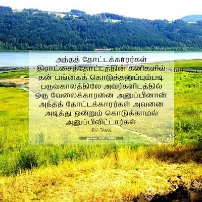 Picture 07 - லூக்கா 20:10 TAMIRV - அந்தத் - Bible Verse Picture
