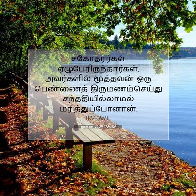 Picture 07 - லூக்கா 20:29 TAMIRV - சகோதரர்கள் - Bible Verse Picture
