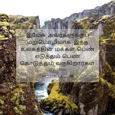Picture 07 - லூக்கா 20:34 TAMIRV - இயேசு - Bible Verse Picture