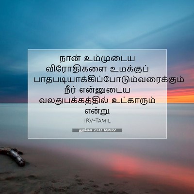 Picture 07 - லூக்கா 20:42 TAMIRV - நான் உம்முடைய - Bible Verse Picture