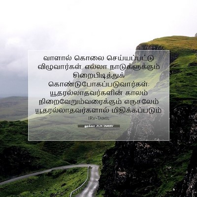 Picture 07 - லூக்கா 21:24 TAMIRV - வாளால் கொலை - Bible Verse Picture