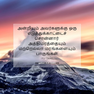 Picture 07 - லூக்கா 21:29 TAMIRV - அன்றியும் - Bible Verse Picture