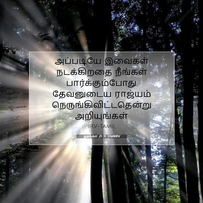 Picture 07 - லூக்கா 21:31 TAMIRV - அப்படியே இவைகள் - Bible Verse Picture