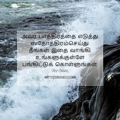 Picture 07 - லூக்கா 22:17 TAMIRV - அவர் பாத்திரத்தை - Bible Verse Picture