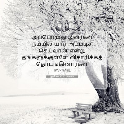 Picture 07 - லூக்கா 22:23 TAMIRV - அப்பொழுது அவர்கள் - Bible Verse Picture