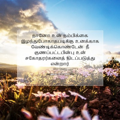 Picture 07 - லூக்கா 22:32 TAMIRV - நானோ உன் - Bible Verse Picture