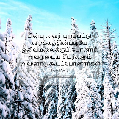 Picture 07 - லூக்கா 22:39 TAMIRV - பின்பு அவர் - Bible Verse Picture