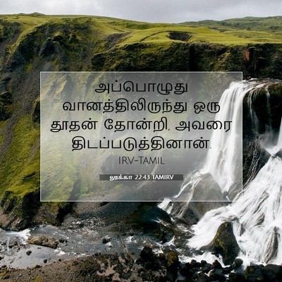 Picture 07 - லூக்கா 22:43 TAMIRV - அப்பொழுது - Bible Verse Picture
