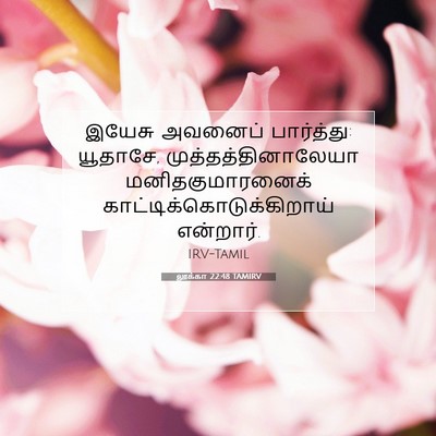Picture 07 - லூக்கா 22:48 TAMIRV - இயேசு அவனைப் - Bible Verse Picture