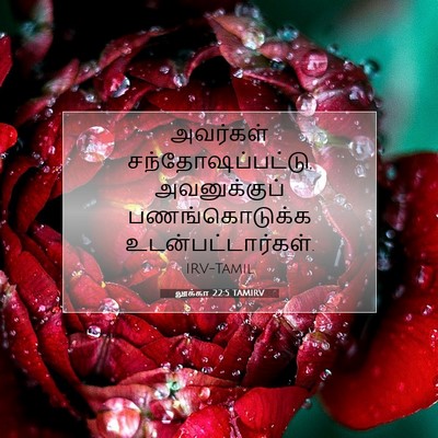 Picture 07 - லூக்கா 22:5 TAMIRV - அவர்கள் - Bible Verse Picture
