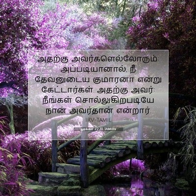 Picture 07 - லூக்கா 22:70 TAMIRV - அதற்கு - Bible Verse Picture