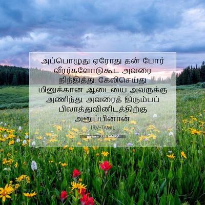 Picture 07 - லூக்கா 23:11 TAMIRV - அப்பொழுது ஏரோது - Bible Verse Picture