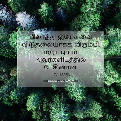 Picture 07 - லூக்கா 23:20 TAMIRV - பிலாத்து இயேசுவை - Bible Verse Picture