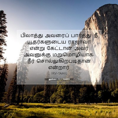 Picture 07 - லூக்கா 23:3 TAMIRV - பிலாத்து அவரைப் - Bible Verse Picture
