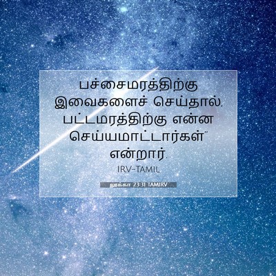 Picture 07 - லூக்கா 23:31 TAMIRV - பச்சைமரத்திற்கு - Bible Verse Picture