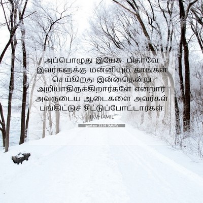 Picture 07 - லூக்கா 23:34 TAMIRV - அப்பொழுது இயேசு: - Bible Verse Picture