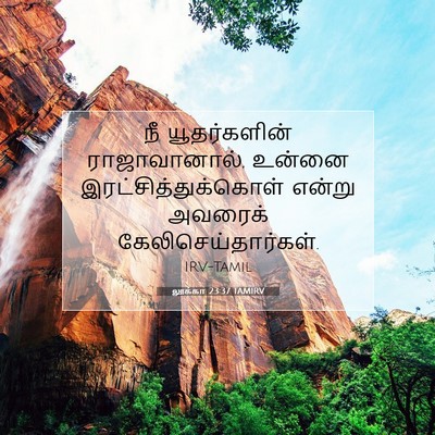 Picture 07 - லூக்கா 23:37 TAMIRV - நீ யூதர்களின் - Bible Verse Picture