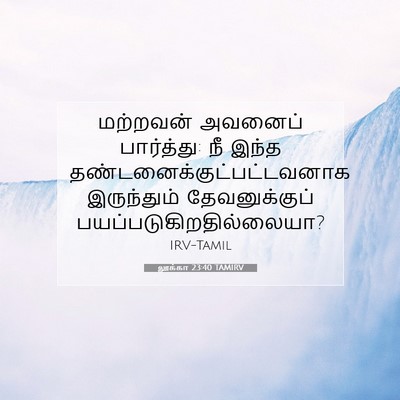 Picture 07 - லூக்கா 23:40 TAMIRV - மற்றவன் அவனைப் - Bible Verse Picture