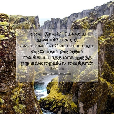 Picture 07 - லூக்கா 23:53 TAMIRV - அதை இறக்கி, - Bible Verse Picture