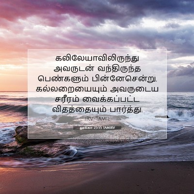 Picture 07 - லூக்கா 23:55 TAMIRV -  - Bible Verse Picture