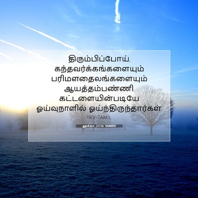 Picture 07 - லூக்கா 23:56 TAMIRV - திரும்பிப்போய், - Bible Verse Picture