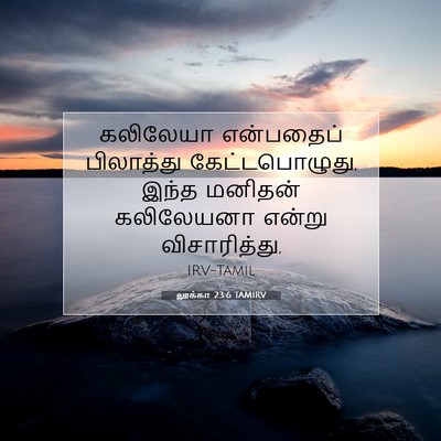 Picture 07 - லூக்கா 23:6 TAMIRV - கலிலேயா என்பதைப் - Bible Verse Picture