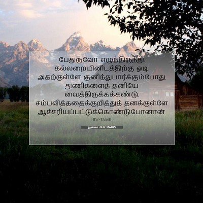 Picture 07 - லூக்கா 24:12 TAMIRV - பேதுருவோ - Bible Verse Picture