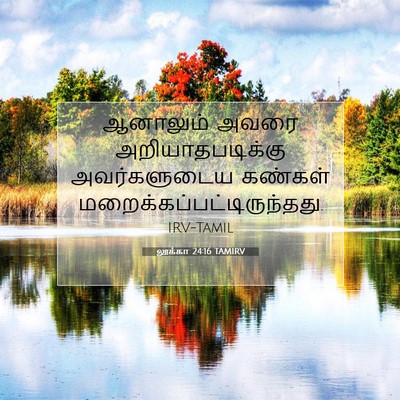 Picture 07 - லூக்கா 24:16 TAMIRV - ஆனாலும் அவரை - Bible Verse Picture