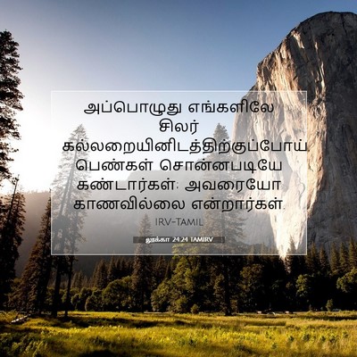 Picture 07 - லூக்கா 24:24 TAMIRV - அப்பொழுது - Bible Verse Picture