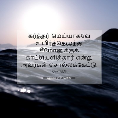 Picture 07 - லூக்கா 24:34 TAMIRV - கர்த்தர் - Bible Verse Picture
