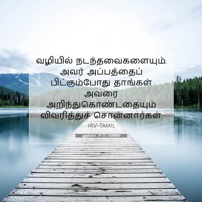 Picture 07 - லூக்கா 24:35 TAMIRV - வழியில் - Bible Verse Picture
