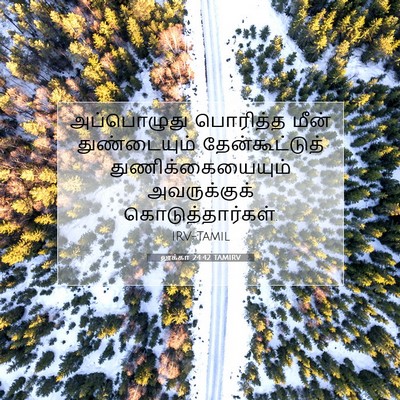 Picture 07 - லூக்கா 24:42 TAMIRV - அப்பொழுது பொரித்த - Bible Verse Picture